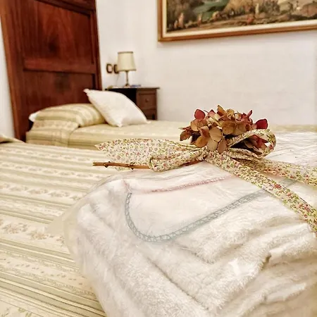 Ancella - Residenza La Madonina Morciano مورتشانو دي رومانيا