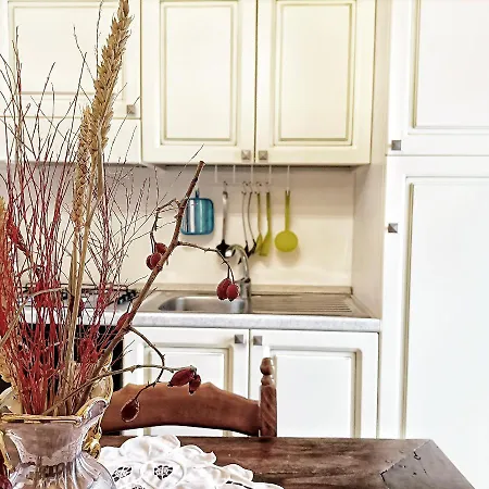 Ancella - Residenza La Madonina Morciano مورتشانو دي رومانيا