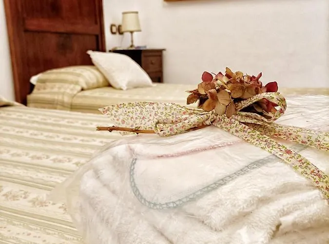 Ancella - Residenza La Madonina Morciano מורצ'אנו די רומנה